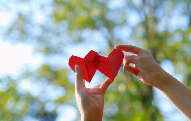 手拿红色爱心比心场景阳光唯美小清新情人节七夕摄影图