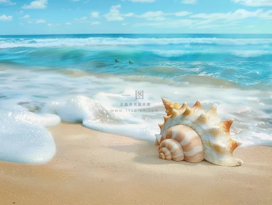 海滩贝壳海浪浪花摄影图