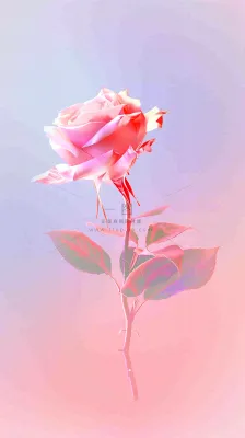 渐变玫瑰花创意插画情人节背景