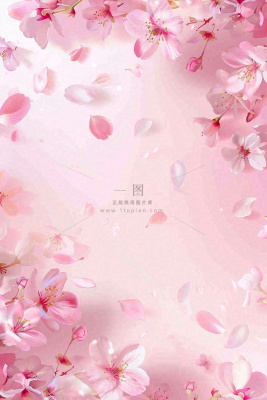 粉色樱花桃花花瓣飘落唯美浪漫春天春分情人七夕背景 粉色樱花桃花花瓣飘落唯美浪漫春天春分情人七夕背景