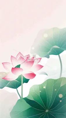夏天荷花荷叶清凉小清新淡雅立夏夏至暑插画背景