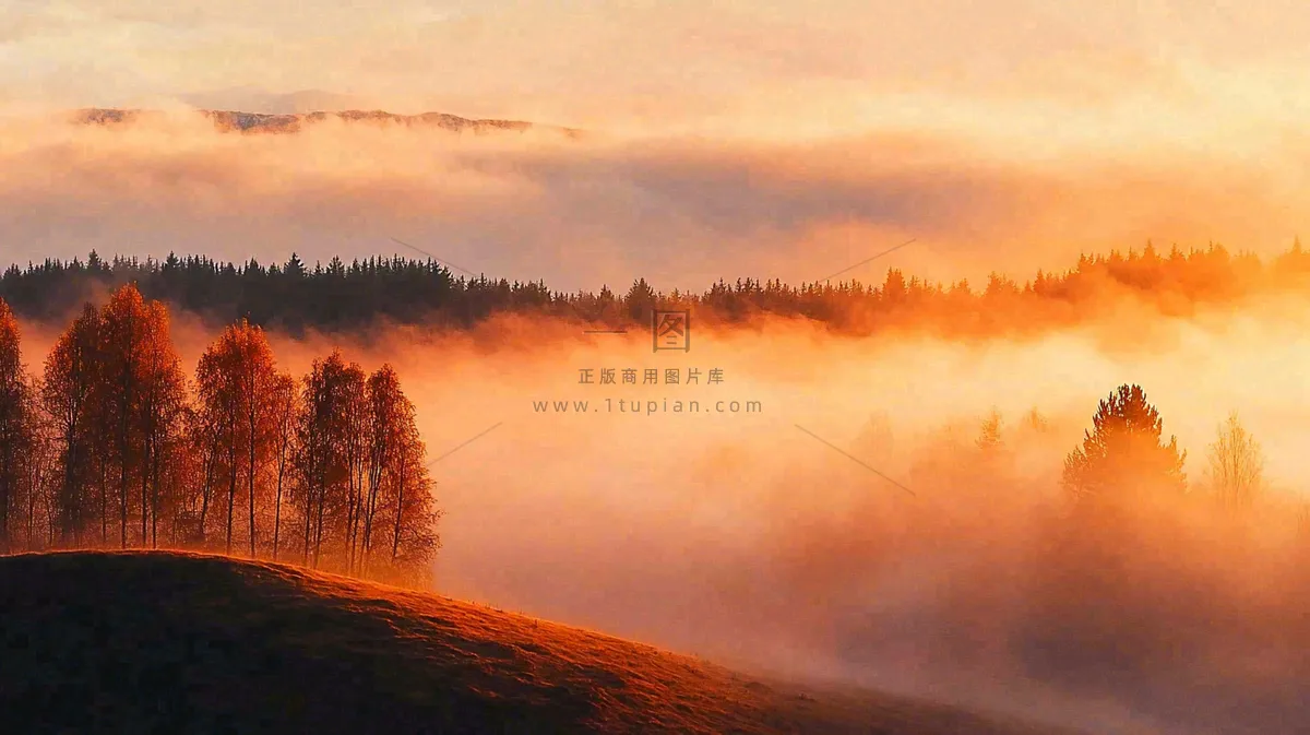 秋天风景夕阳日出云雾森林摄影图