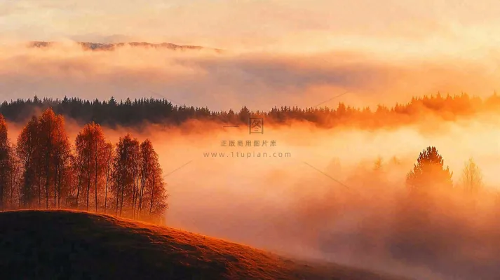 秋天风景夕阳日出云雾森林摄影图 秋天风景夕阳日出云雾森林摄影图