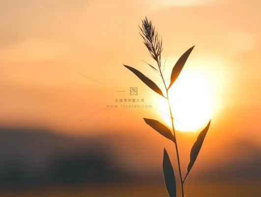 清晨日出朝霞云层山川摄影图