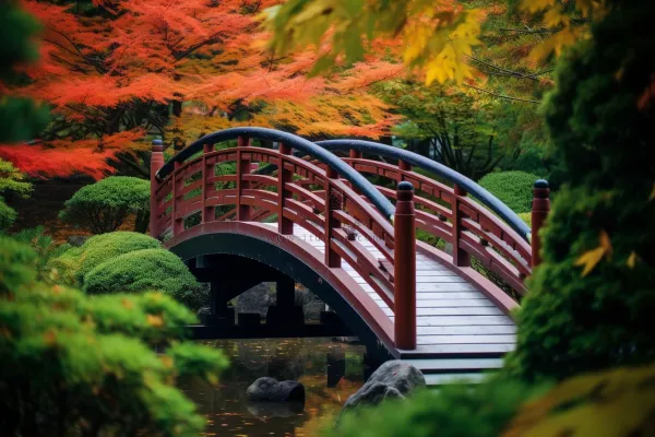 秋天庭院拱桥秋意浓摄影图