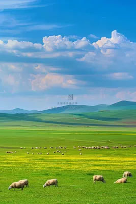 春天草甸草地山坡摄影图