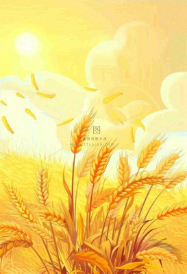 农田里金黄的麦穗稻穗收成卡通插画芒种世界粮食日插画背景