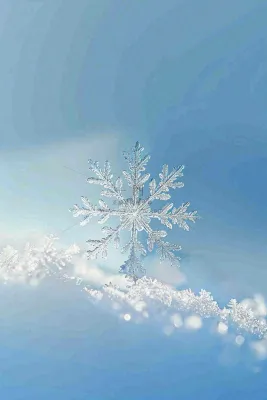 冬天白雪覆盖寒冷唯美雪景大寒插画背景 冬天白雪覆盖寒冷唯美雪景大寒插画背景