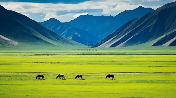新疆春天草原风光大自然风景摄影图