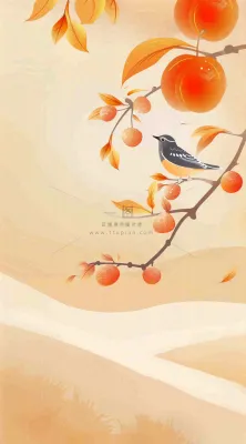 秋冬柿子树上的小鸟黄色插画霜降背景 秋冬柿子树上的小鸟黄色插画霜降背景