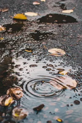 金秋下雨天的路面水洼落叶摄影图