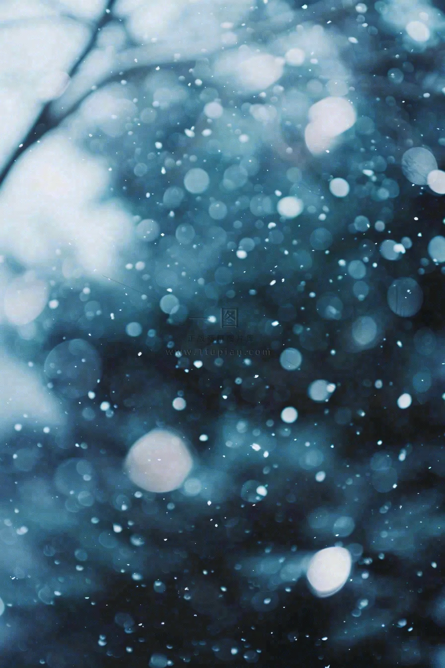 冬季下雪天寒冷树林松树小雪大雪小寒摄影图