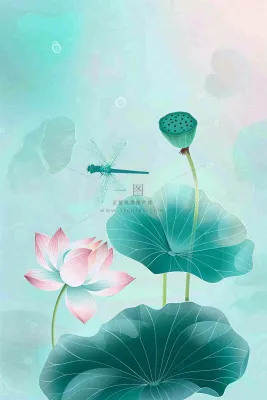夏天小清新荷花荷叶静雅弥散风绿粉色蜻蜓立夏夏至处暑插画背景