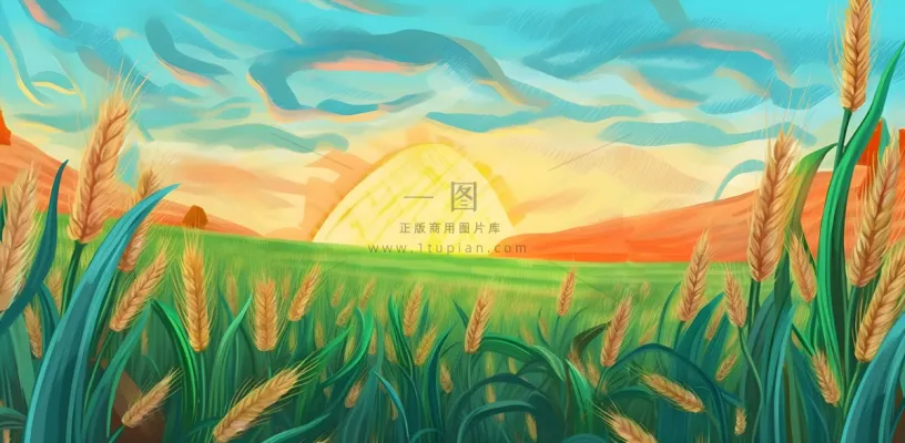 农田庄稼小麦玉米地夕阳晚霞绿色背景