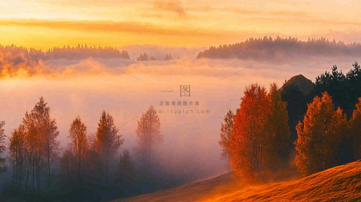 秋天风景夕阳日出云雾森林摄影图 秋天风景夕阳日出云雾森林摄影图