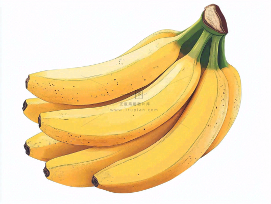 香蕉水果插画背景 香蕉水果插画背景