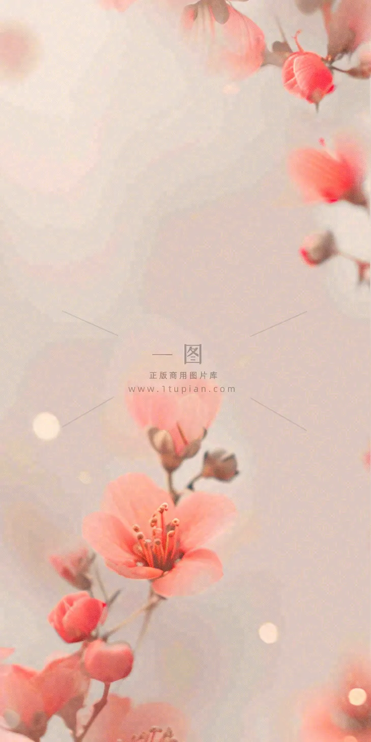 简约花朵鲜花纹理背景