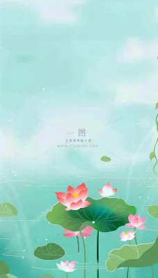 夏天荷花荷叶清凉小清新淡雅立夏夏至暑插画背景 夏天荷花荷叶清凉小清新淡雅立夏夏至暑插画背景