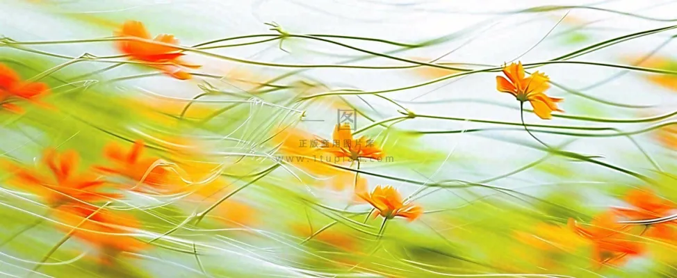 橙色鲜花意境流水渐变朦胧背景