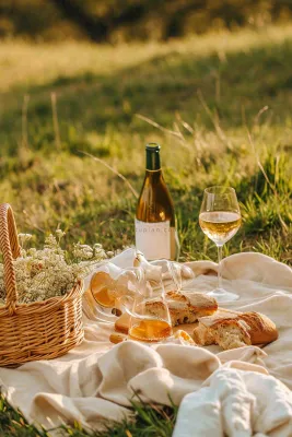 春天户外草坪野餐篮子露营食物酒面包摄影