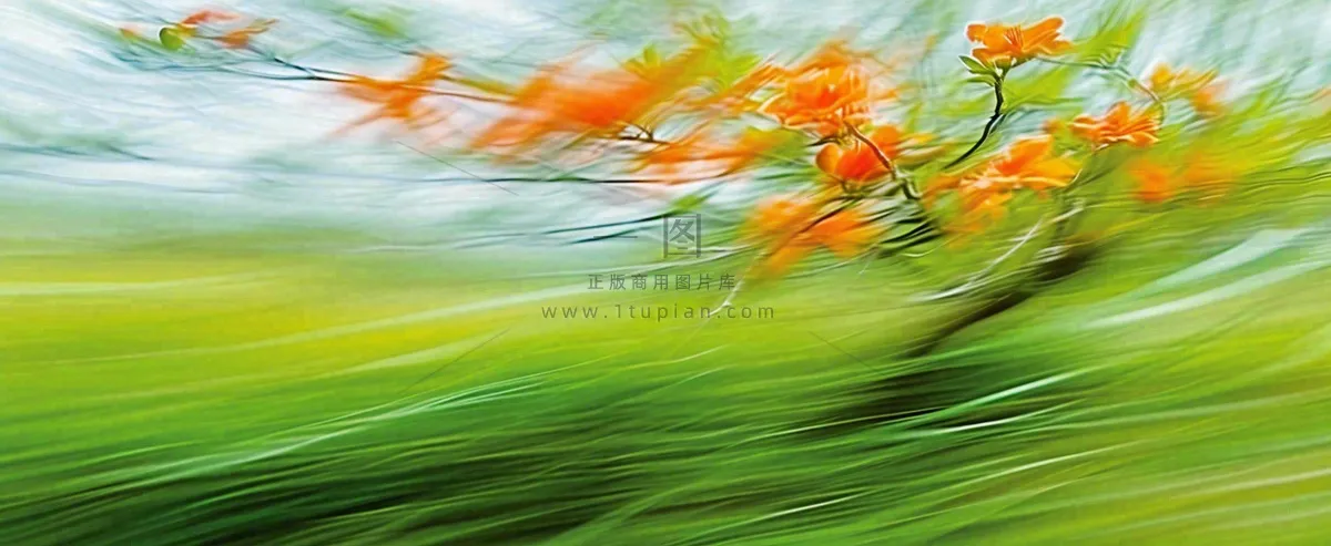 橙色鲜花意境流水渐变朦胧背景