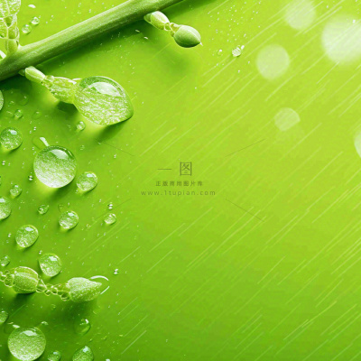 清新绿色春天绿芽叶子雨水露珠，春分谷雨摄影图