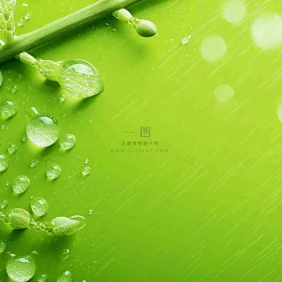 清新绿色春天绿芽叶子雨水露珠，春分谷雨摄影图