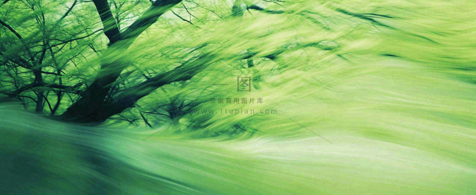 绿色植物树木绚丽虚幻背景