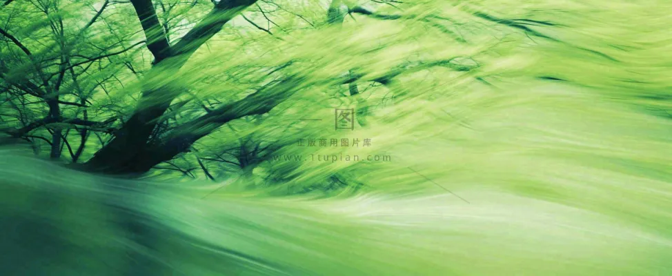 绿色植物树木绚丽虚幻背景