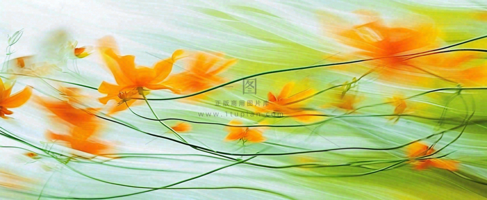 橙色鲜花意境流水渐变朦胧背景