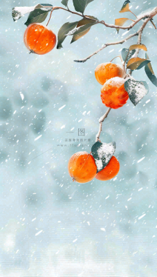 冬天风雪里的柿子树霜降插画背景 冬天风雪里的柿子树霜降插画背景