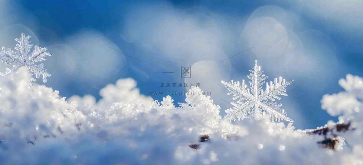 冰冻预警暴雪预警通知公告背景