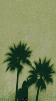 简约绿色叶子影子纹理 简约绿色叶子影子纹理