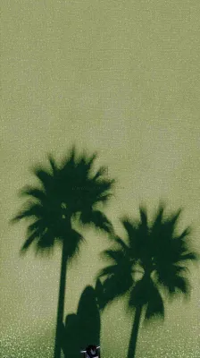 简约绿色叶子影子纹理 简约绿色叶子影子纹理