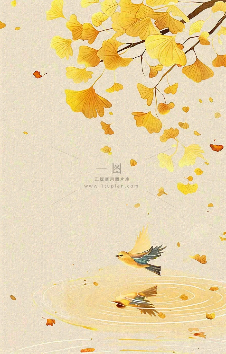 秋天秋分立秋