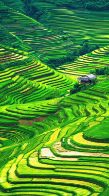 春天唯美绿色梯田种植,乡村小屋,谷雨摄影图 春天唯美绿色梯田种植,乡村小屋,谷雨摄影图