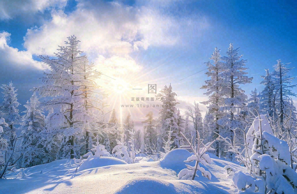 冬天白雪覆盖的森林阳光照射大自然雪景大雪小雪冬至摄影图