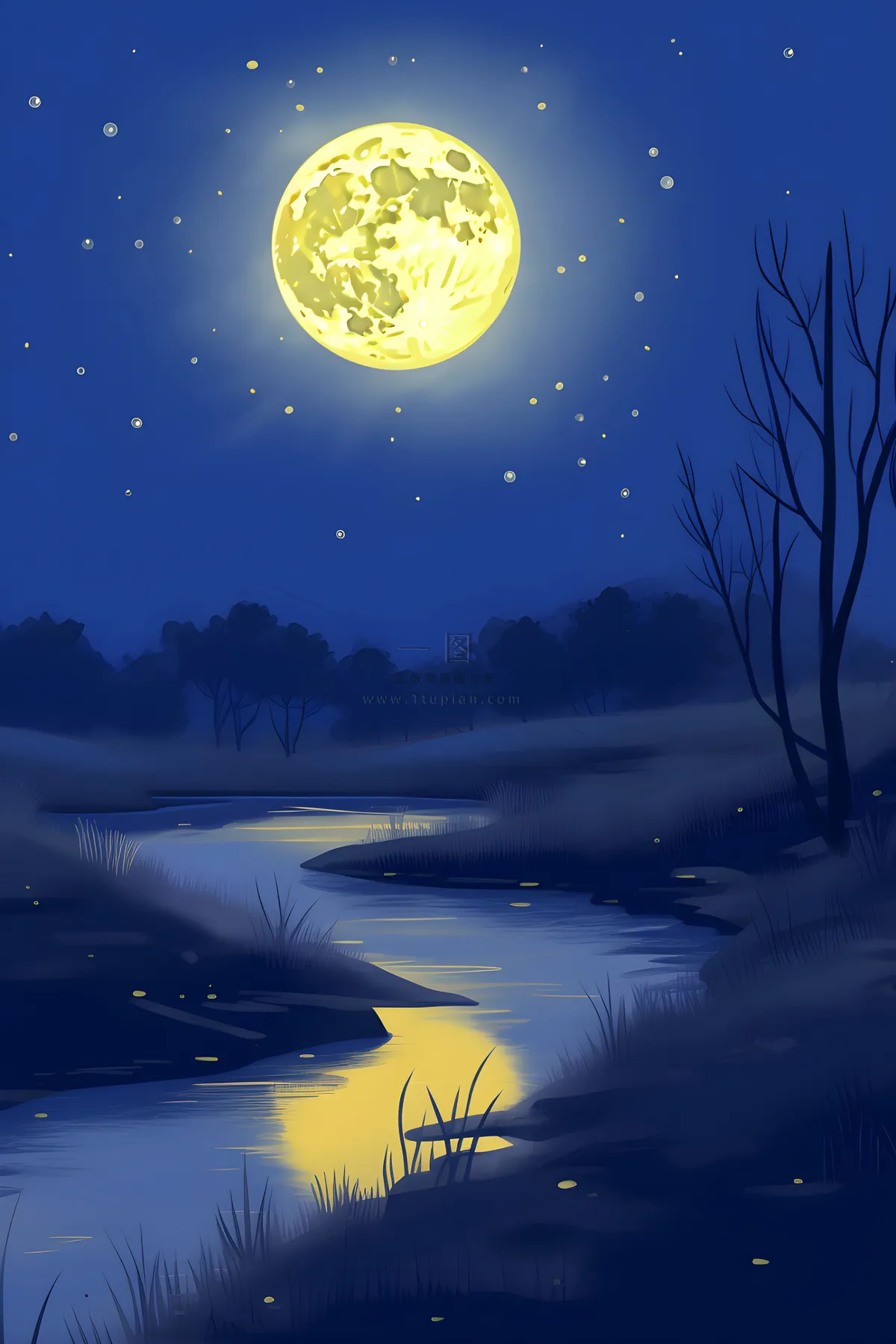 月光草地夜晚背景