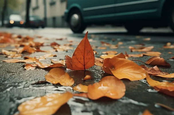 秋天落叶公路道路上摄影图