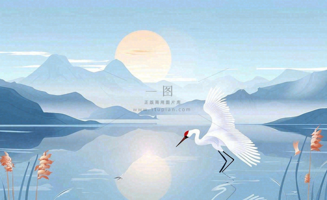 唯美白露仙鹤鸟山水风景秋天芦苇日落日出秋天插画背景