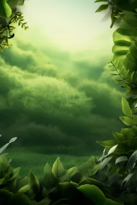 简约树叶丛林小草绿色简约背景