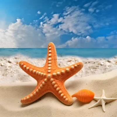 在沙滩上的海星的照片海滩背景地中海海滩背景沙子和大海