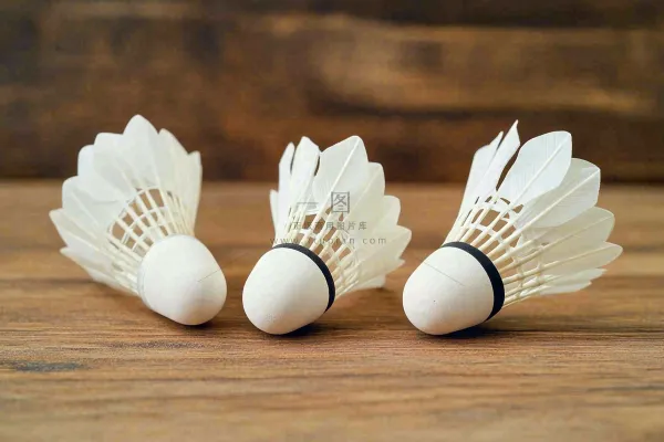 羽毛球竞技运动摄影图