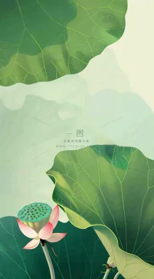 夏天荷花荷叶清凉小清新淡雅立夏夏至暑插画背景 夏天荷花荷叶清凉小清新淡雅立夏夏至暑插画背景