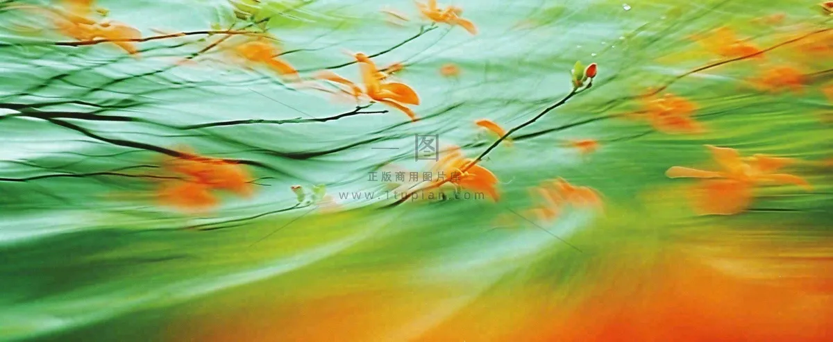 橙色鲜花意境流水渐变朦胧背景