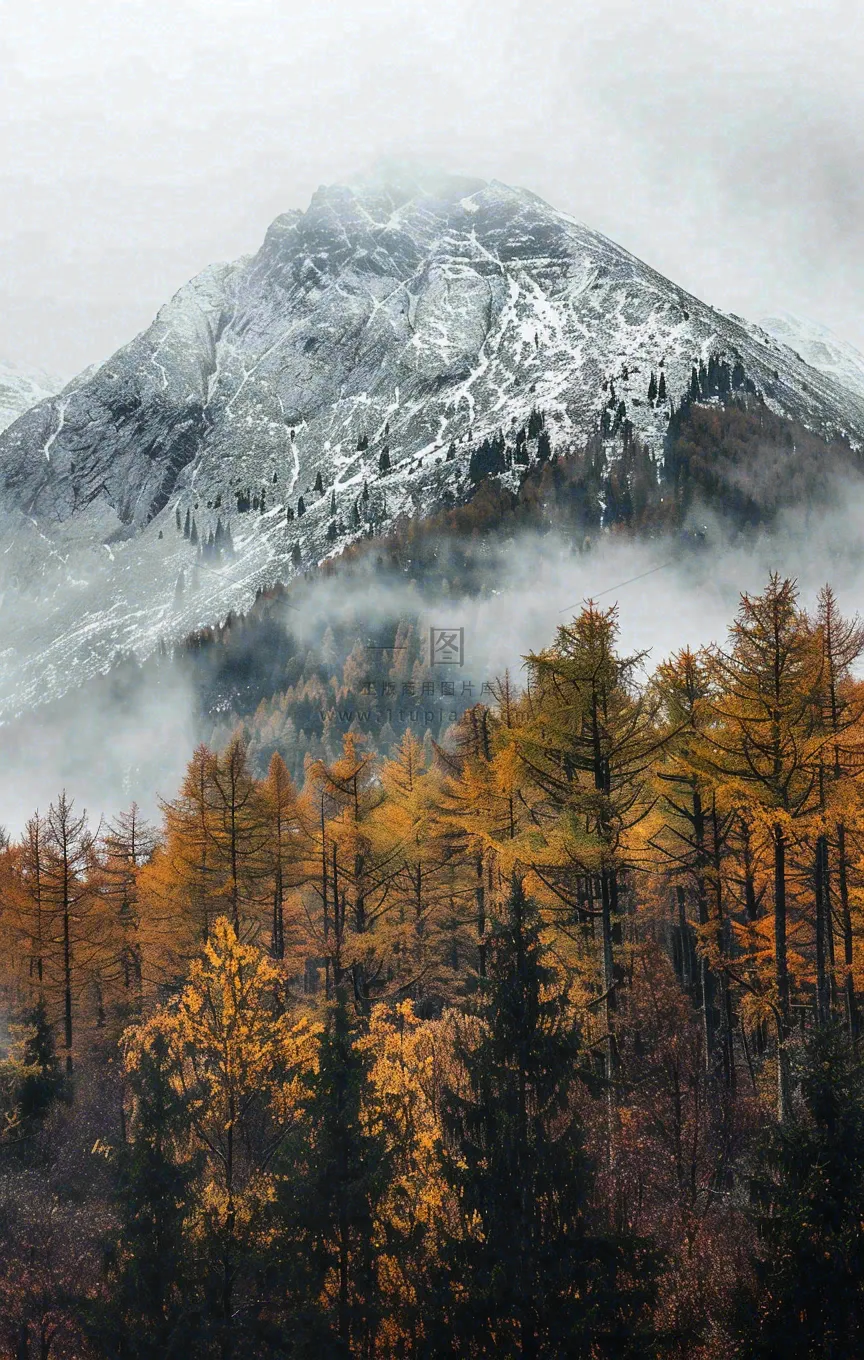 秋天森林山脉清晨起雾大自然风光寒露摄影图