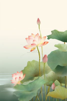 意境国潮荷花睡莲淡雅节气海报背景