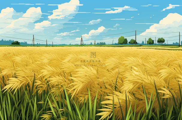 秋天成熟的金黄麦田稻田卡通插画素材图