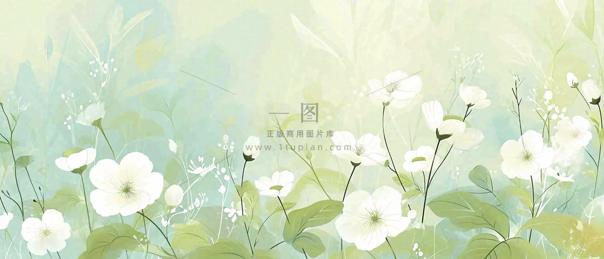 清新白色小花野花野草春天萌芽手绘，春分