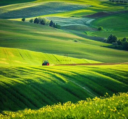农田庄稼里耕种的机器农忙劳动节摄影图